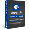 Copernic Server Search