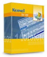 Kernel Data Recovery