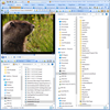 Vole Windows Expedition