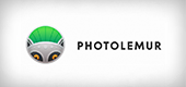 Photolemur