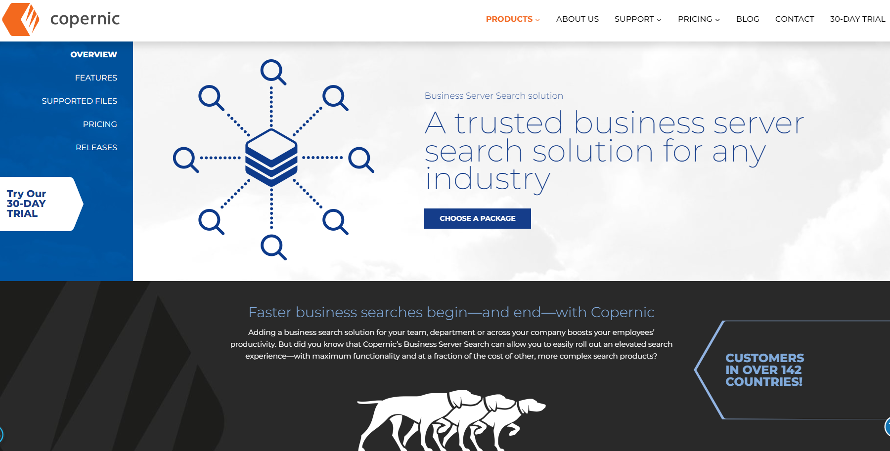 copernic-business-server