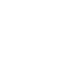 Winner Blue Book Global 20